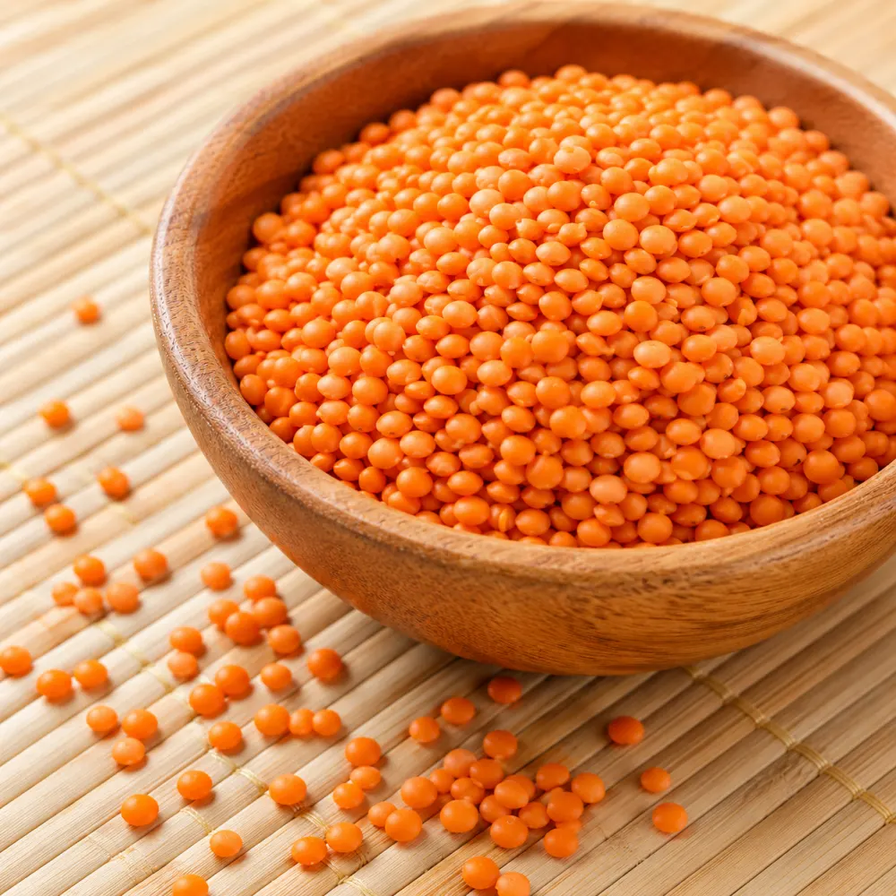 Red Lentil